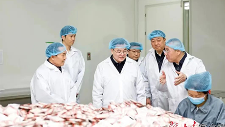 甘肃省委书记胡昌升莅临im电竞健康集团佛仁制药考察调研