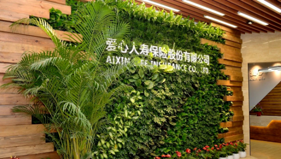 im电竞健康集团第三次增资爱心人寿获批，新“国十条”助力医疗和保险深度融合